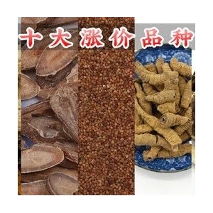 十大涨价品种