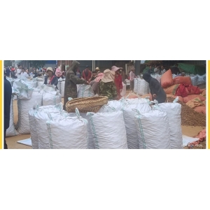 文山三七产业协会三七行情参考（2024年6月10日-6月16日）