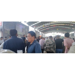 平邑金银花药材产地价格(2024.06.22）