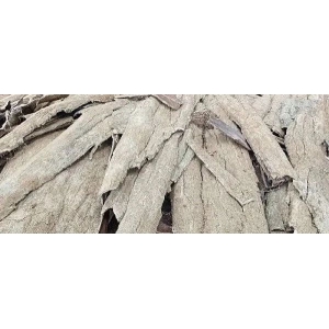 药财有道|超长周期的中药材—杜仲行情研判