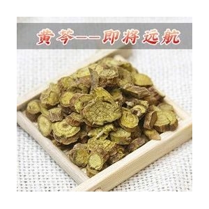 黄芩----即将远航