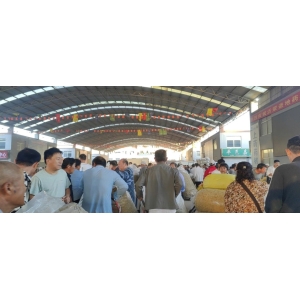 平邑金银花药材产地价格(2024.06.27）