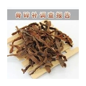 骨碎补调查报告