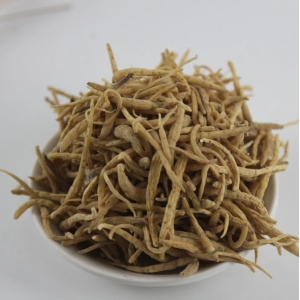 产地信息及时快讯