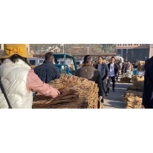 药财有道|高价之后慢慢寻底路：党参