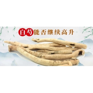 白芍能否继续高升