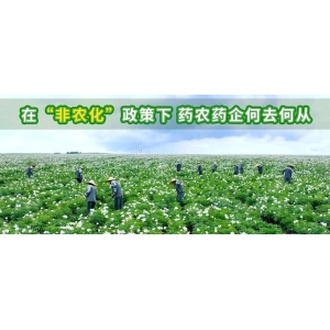 在“非农化”政策下 药农药企何去何从