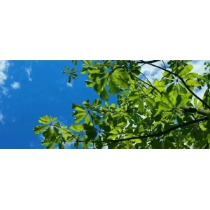 每日推荐|市场资讯聚焦（9.20）