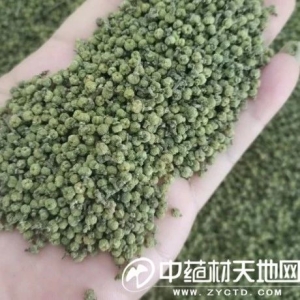 亳州药市9月点评：多数中药材产新和临新 持币观望者居多
