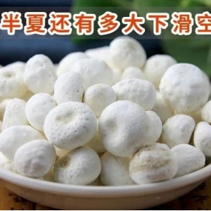 旱半夏还有多大下滑空间