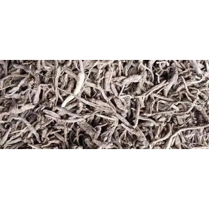 药财有道|热点追踪：多年生的南沙参产新能否聚焦眼球?
