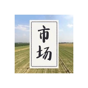 今日亳州市场中药材行情