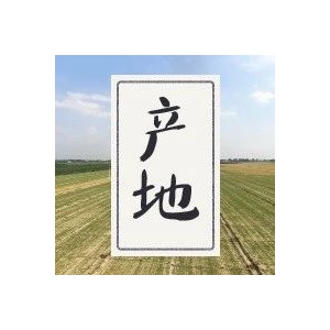 今日中药材产地快讯
