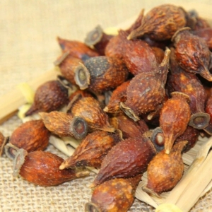 产地信息及时快讯