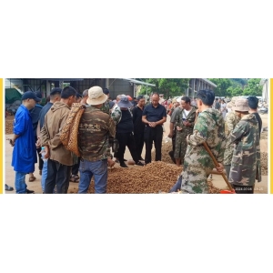 文山三七产业协会三七行情参考（2024年7月8日-7月10日）