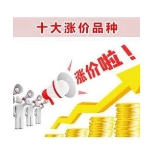 十大涨价品种