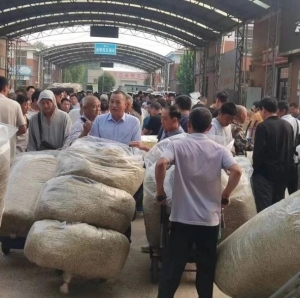 平邑金银花药材产地价格(2024.07.14）