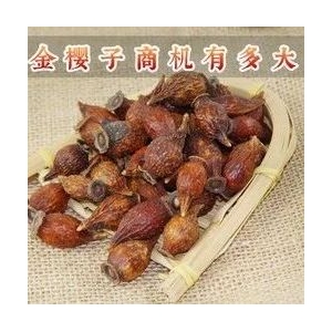 金樱子商机有多大