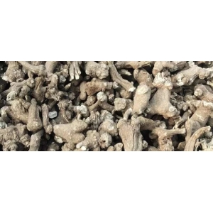 价格一涨再涨，这两个火爆药材品种还能继续突破高价吗？