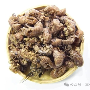 这两个野生药材行情一路上涨，已在历史高位，为何后市仍被看好？