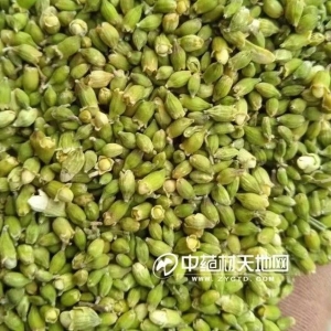 安国药市7月点评|品种涨少跌多的局面出现