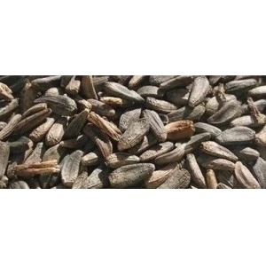 药市短期内将整体回落，这几个产新量大且需求不足的药材率先下滑，后市仍难有利好？