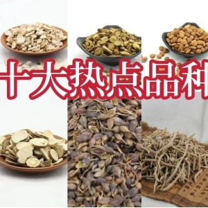 十大热点品种