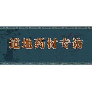 今日亳州安国药材行情｜高热仰“芷”！白芷产地走畅！一改颓势！太子参发力回升！中药