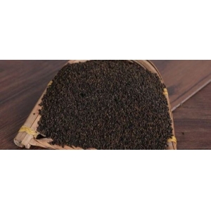 8月16日国家级万良人参市场最新价格