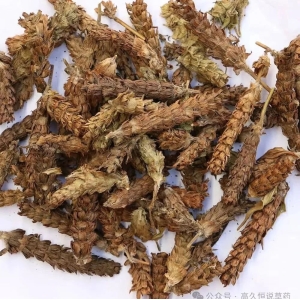 种植面积大！产量大！库存充丰！这几个药材仍将在低价继续徘徊，低迷行情短期难以改变
