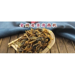 全蝎是否有商机