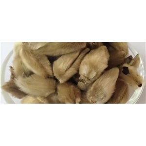 药市降温，实需成拉动行情变化的关键，这几个货源不丰，需求有增的药材价格又涨了