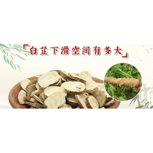 白芷下滑空间有多大