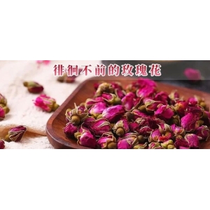 徘徊不前的玫瑰花