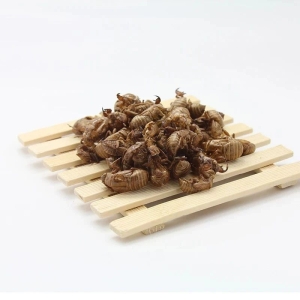 产地信息及时快讯