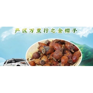 产区万里行之金樱子