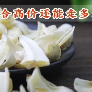百合高价还能走多远