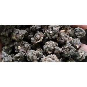 药市涨的涨，跌的跌，这几个药材又涨了，有低价反弹的，有理性回升的，也有持续向高位