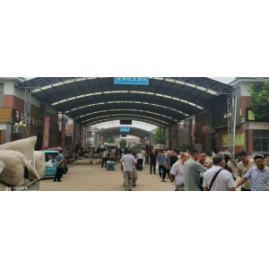 平邑金银花药材产地价格(2024.08.26）