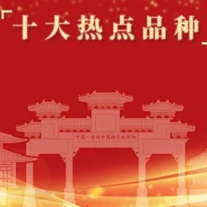十大热点品种