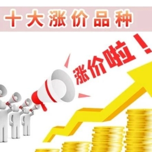 十大涨价品种