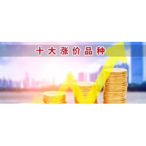十大涨价品种