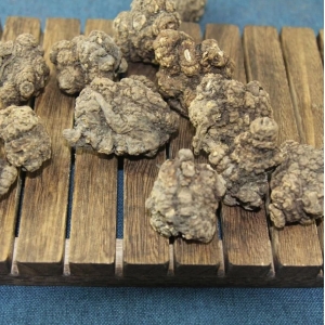 产地信息及时快讯