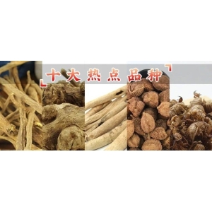 十大热价品种