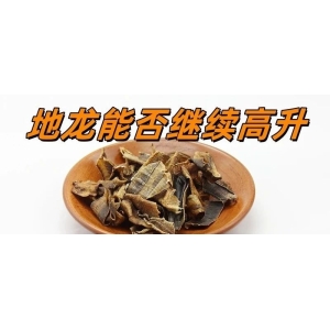 地龙能否继续高升