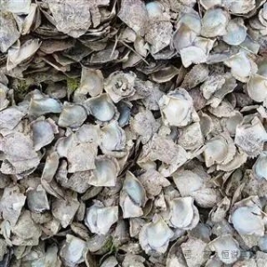 当前药市无热点，涨价品种寥寥，只有这几个药材“出类拔萃”！