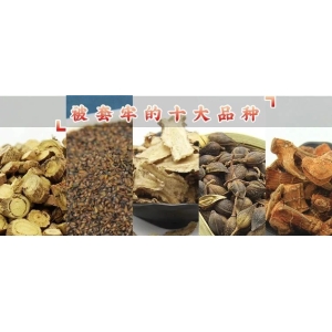 被套牢的十大品种