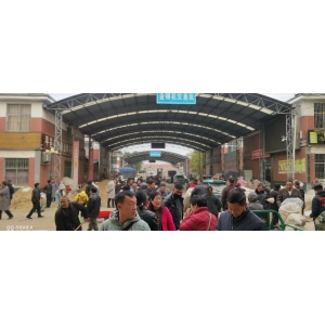 平邑金银花药材产地价格(2024.11.09）