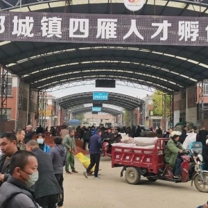平邑山楂药材产地价格(2024.11.09）