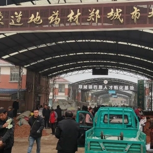 平邑山楂药材产地价格(2024.11.13）